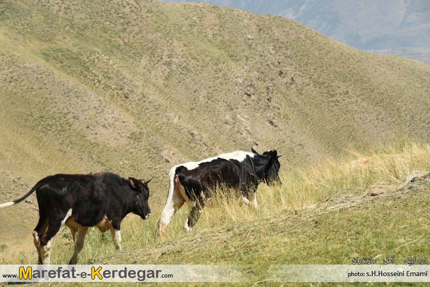 جاذبه های گردشگری استان مازندران